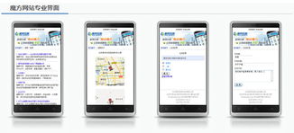 武汉市陆叁玖科技 一站式企业信息化解决方案