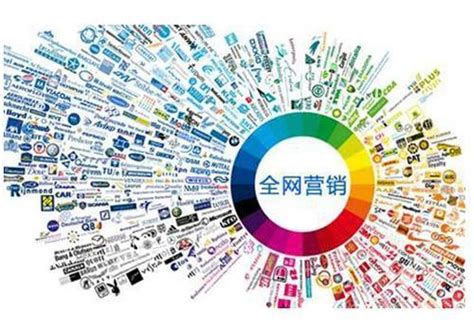 网络推广营销实战全攻略与推广员高效执行指南