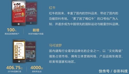 谷形科技 专业Java定制开发与营销推广服务，助力企业数字化升级